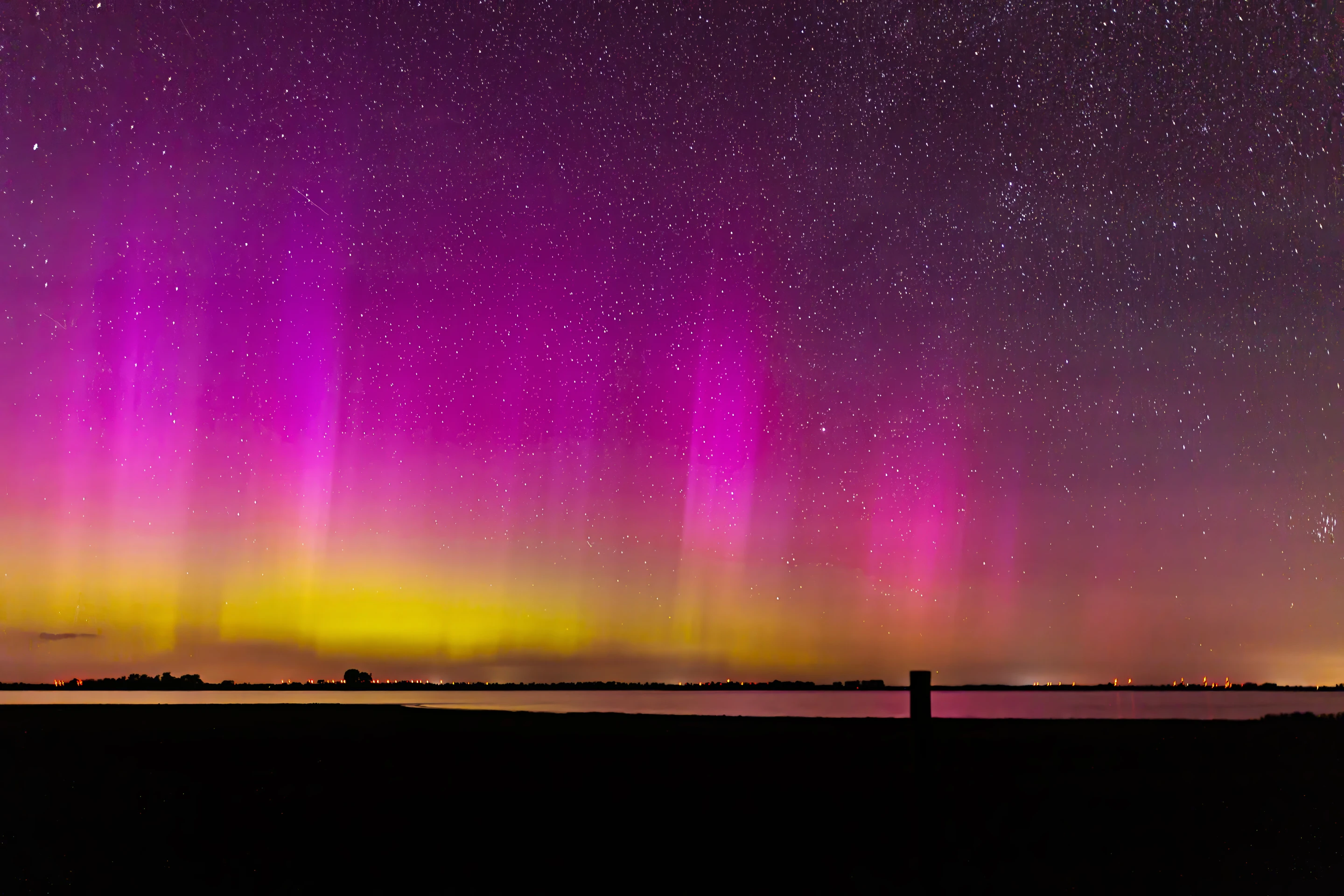 Nature & Wildlife - Image 7